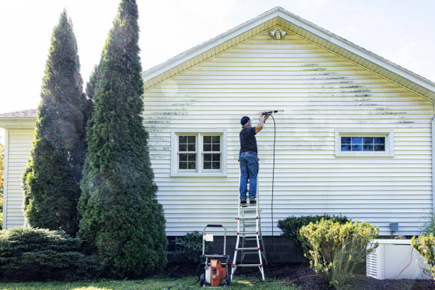 Best Pressure Washing Siding  in Belgium, WI