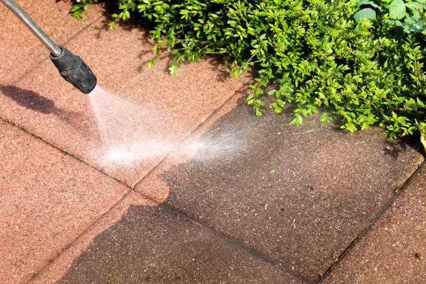 Best Pressure Washing Near Me  in Belgium, WI