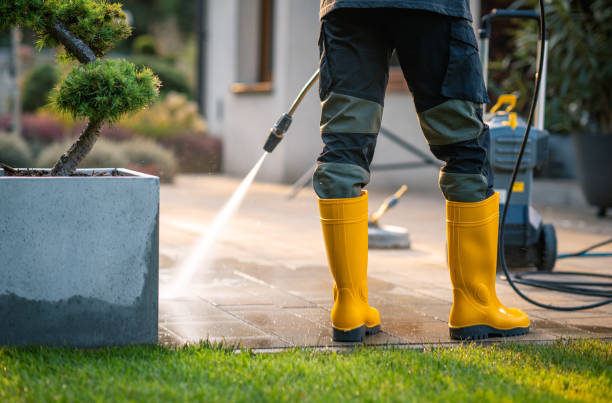 Best House Pressure Washing  in Belgium, WI